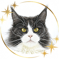 Fleuer of Maine Coon Castle