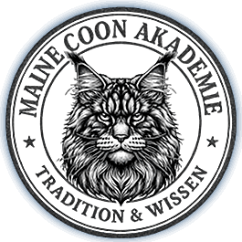 Maine Coon Akademie