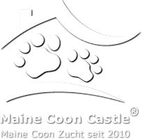 Maine Coon Castle - Maine Coon Zucht seit 2010 Maine Coon Castle - Maine Coon Zucht seit 2010