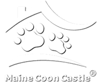 Maine Coon Castle Maine Coon Castle