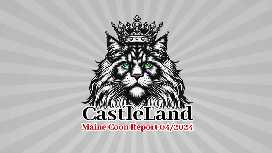 Maine Coon Report - Maine Coon Blog - Maine Coon News