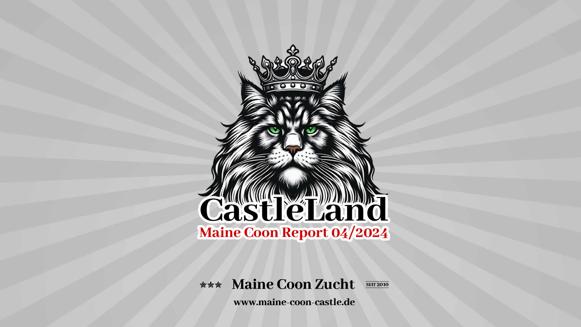 Maine Coon Report 04/2024