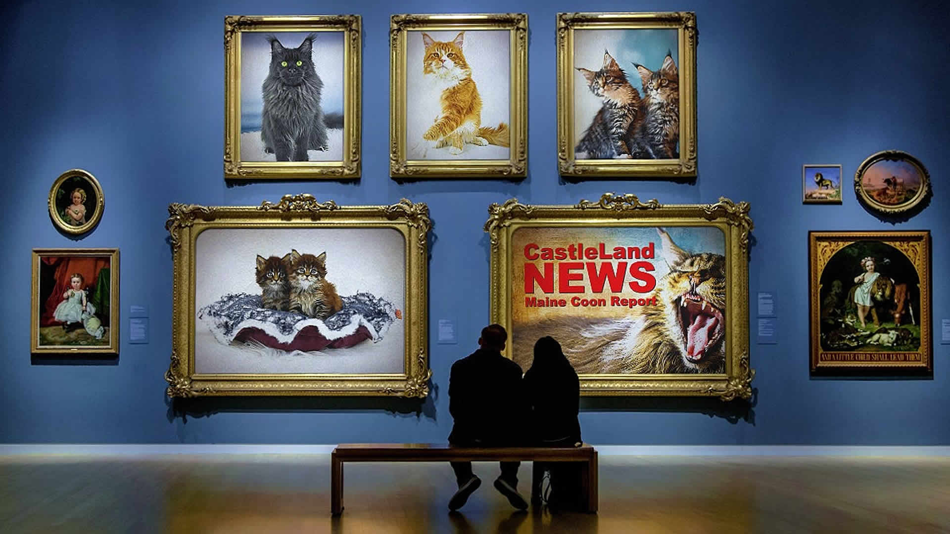 Maine Coon Report - Katzenblog