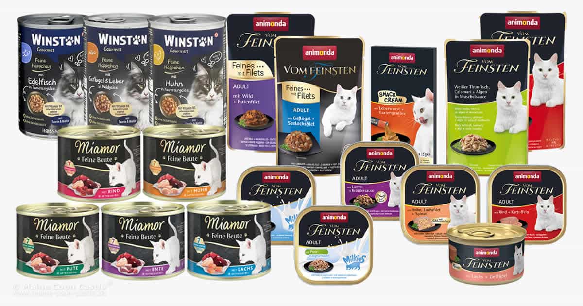 Katzenfutter für Maine Coon Katzen