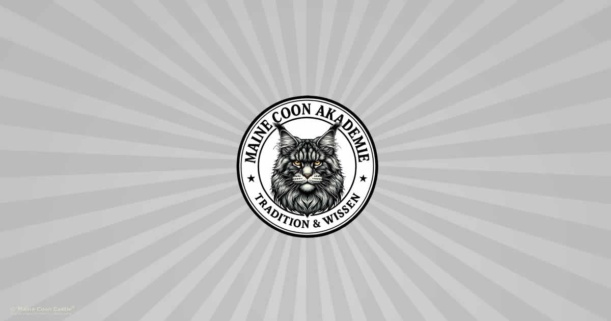 Maine Coon Akademie Maine Coon Akademie